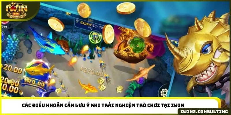 Các điều khoản cần lưu ý khi trải nghiệm trò chơi tại IWIN