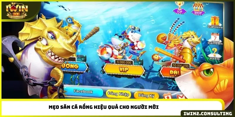 Mẹo săn cá rồng hiệu quả cho người mới